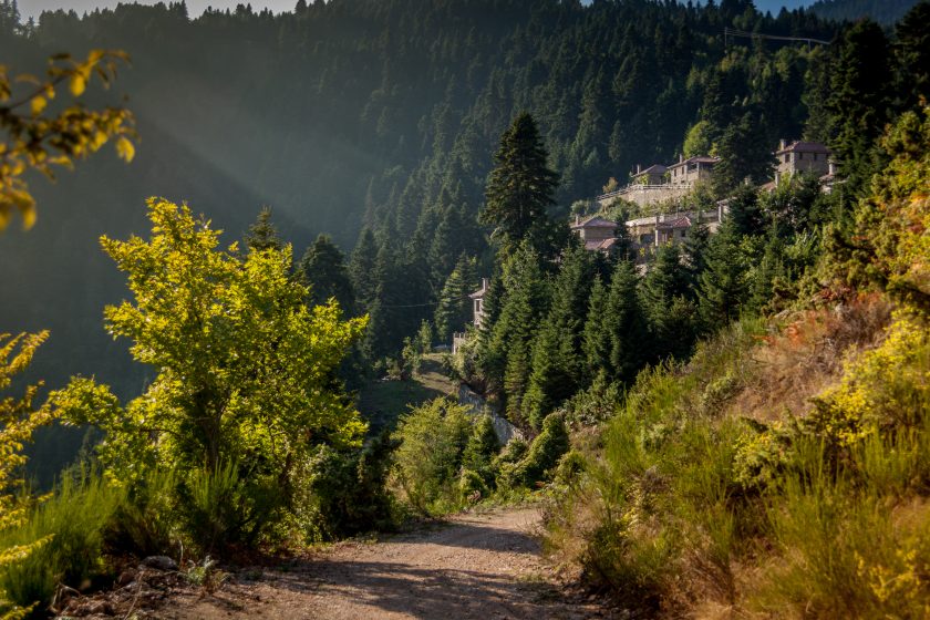 The Autumn Forest Yoga Retreat: Ακολούθησε το δάσος!