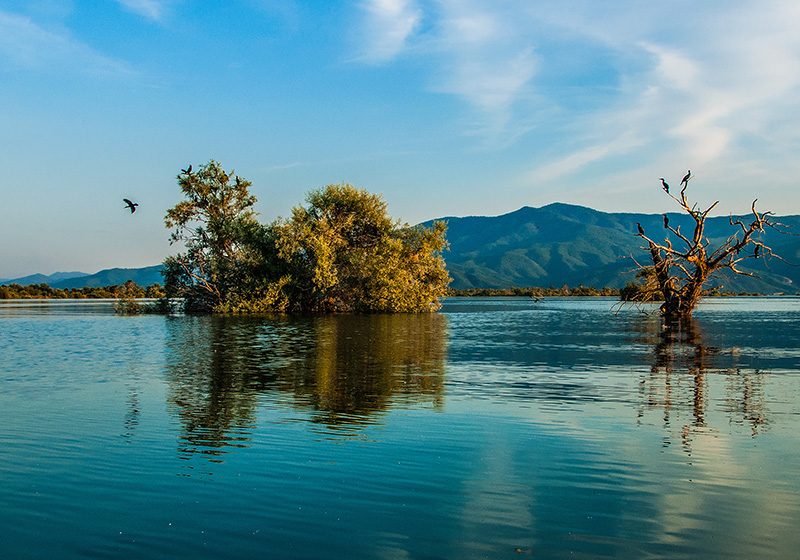 The Winter Lake, Yoga & Spa Retreat