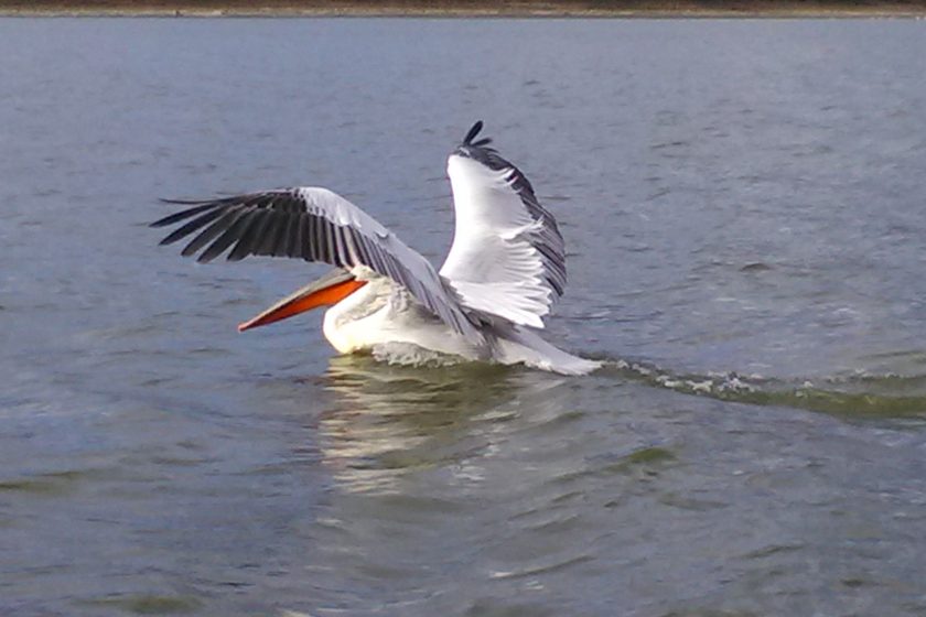 The Spring lake yoga retreat!